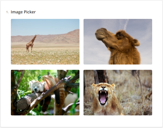 Image Picker